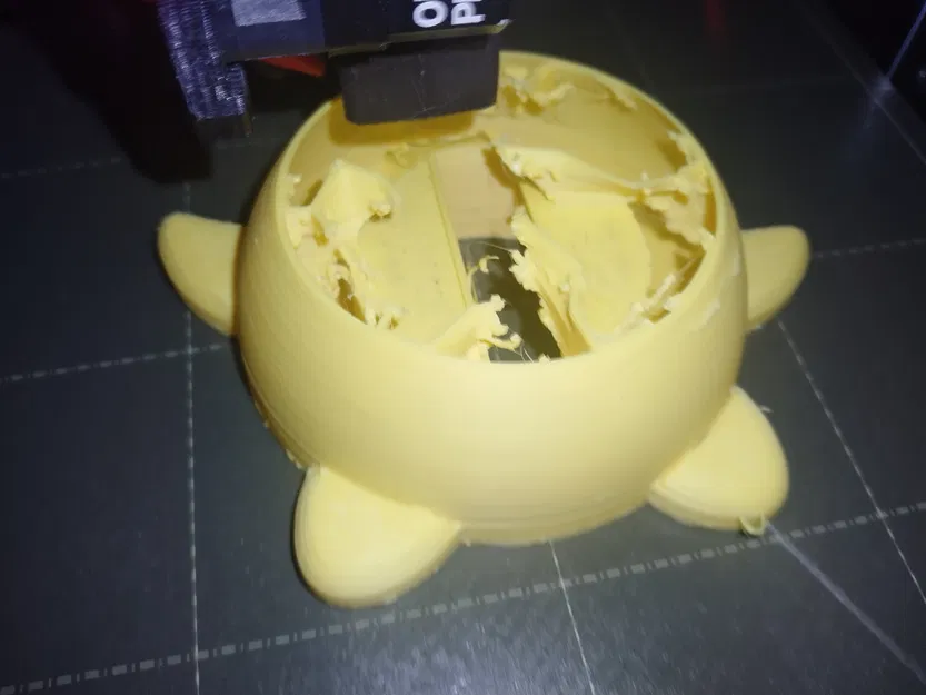 Ngôi Sao Chiếu Sáng Disney Wish - Image 3