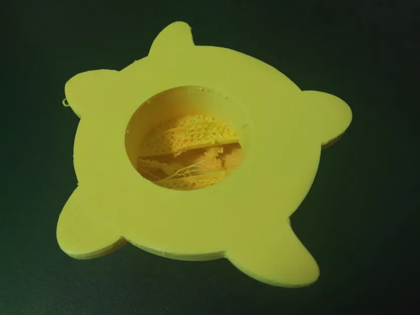 Ngôi Sao Chiếu Sáng Disney Wish - Image 5