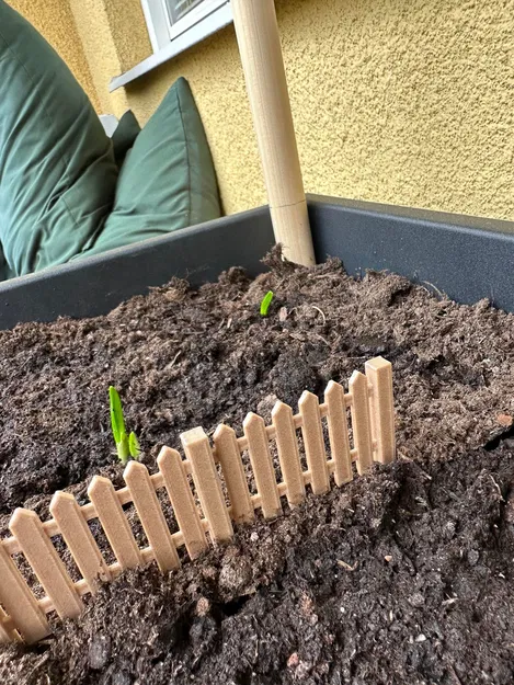 Chậu cây chia vạch - Image 1