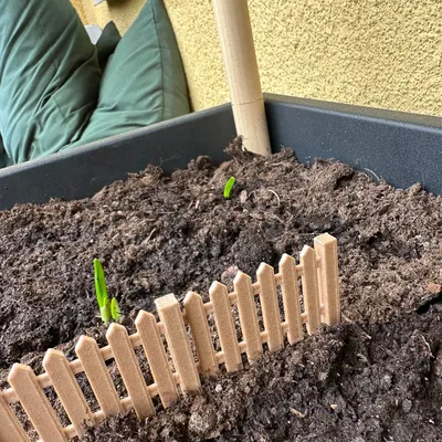 Chậu cây chia vạch