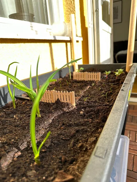 Chậu cây chia vạch - Image 2