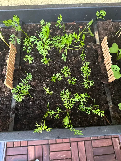 Chậu cây chia vạch - Image 3