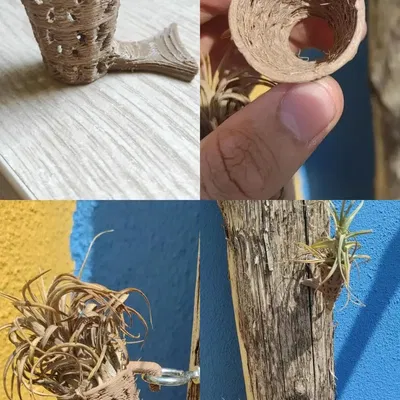 Giỏ Cây Không Khí Voronoi (Treo Tường)