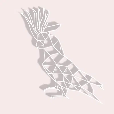 Vẹt Kakadu Hình Học