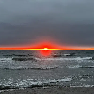 Vỏ CM4-IO-CARRIER-CASE cho Raspberry Pi