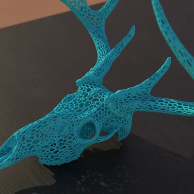 Hộp Sọ Hươu Sao - Phong Cách Voronoi