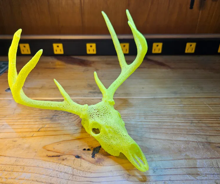 Hộp Sọ Hươu Sao - Phong Cách Voronoi - Image 3