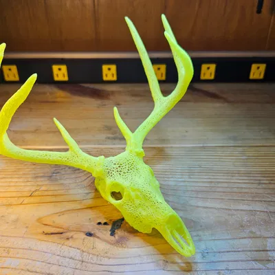 Hộp Sọ Hươu Sao - Phong Cách Voronoi