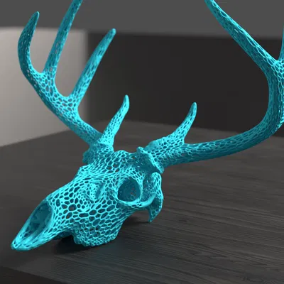 Hộp Sọ Hươu Sao - Phong Cách Voronoi