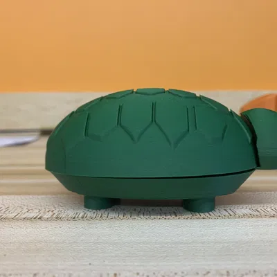 Hộp Đựng Đồ Văn Phòng Hình Rùa