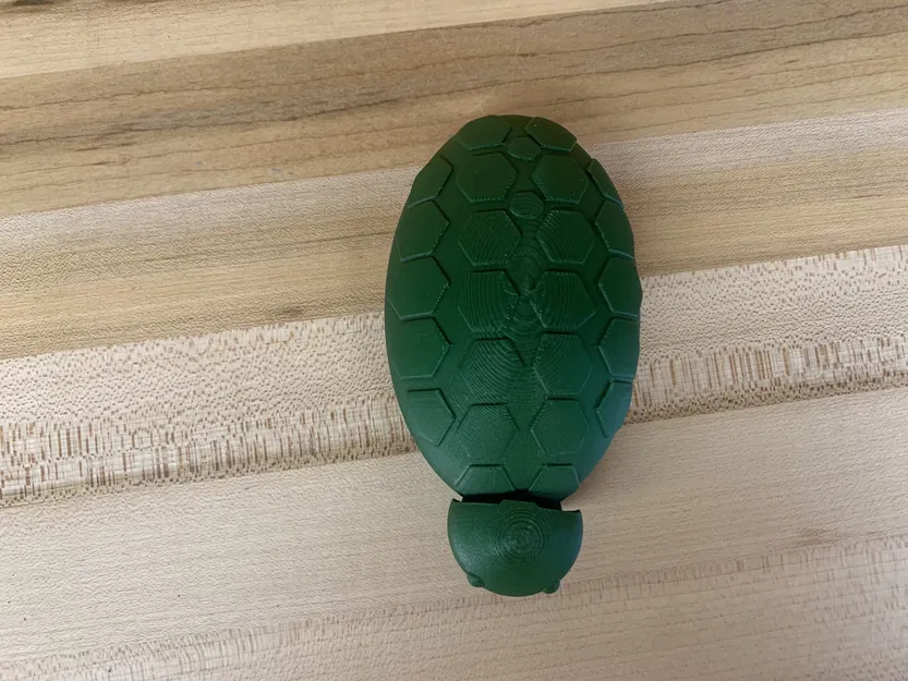 Hộp Đựng Đồ Văn Phòng Hình Rùa - Image 8