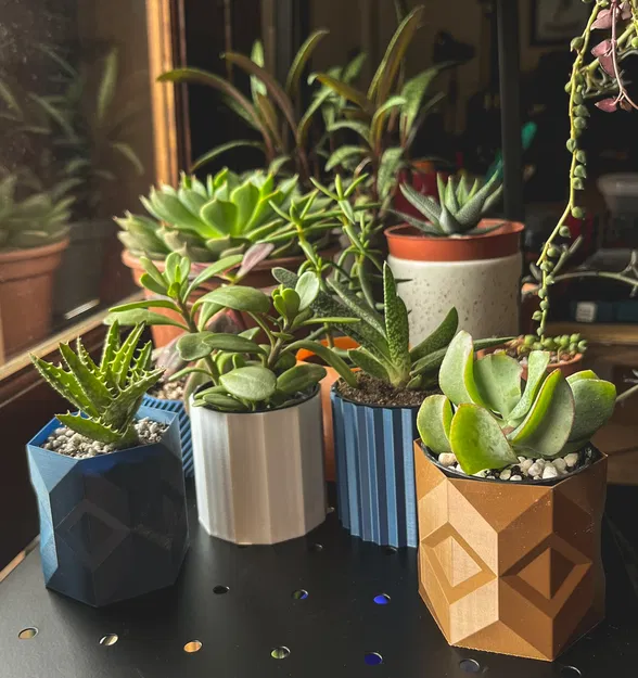 [ĐANG LÀM] Chậu Cây Hình Học và Nắp Đậy - Image 1