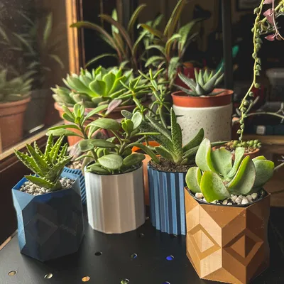 [ĐANG LÀM] Chậu Cây Hình Học và Nắp Đậy