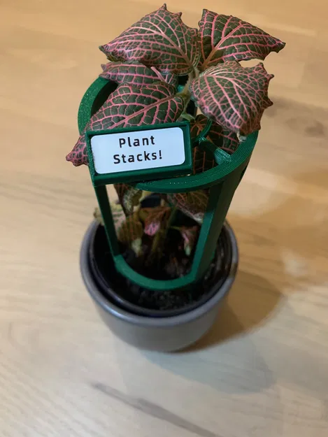 Plant Stacks! Giá đỡ cây trồng xếp chồng - Giá đỡ cơ bản (60mm dia) - Image 1