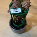 Plant Stacks! Giá đỡ cây trồng xếp chồng - Giá đỡ cơ bản (60mm dia) - Thumbnail 1