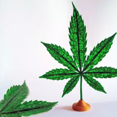 Lá Cần Sa Nghệ Thuật Chân Thực