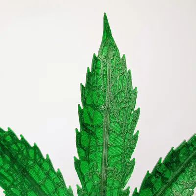 Lá Cần Sa Nghệ Thuật Chân Thực