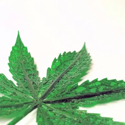 Lá Cần Sa Nghệ Thuật Chân Thực