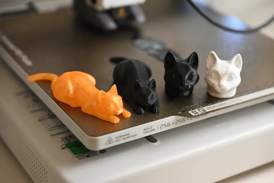 Mèo "Furia" - Tư thế sẵn sàng vồ và đầu - Image 1