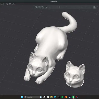 Mèo "Furia" - Tư thế sẵn sàng vồ và đầu