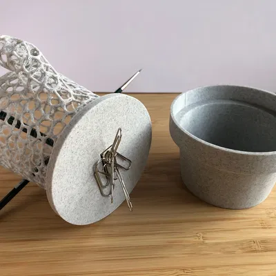 Hộp Cắm Bút Xương Rồng Voronoi