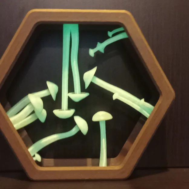 Nấm Sàn 3D - Image 4