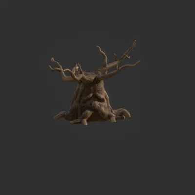 Kệ Trưng Nhẫn Hình Cây Deku - Phong Cách Zelda