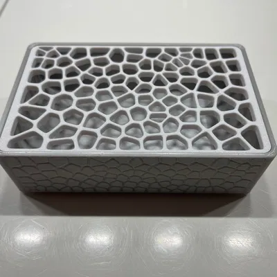 Khay Xà Bông Kiểu Voronoi