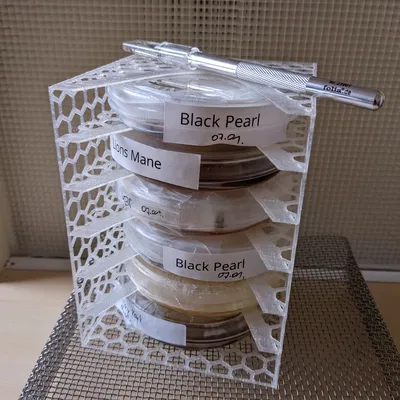 Giá đỡ đĩa petri cho loại 100 mm