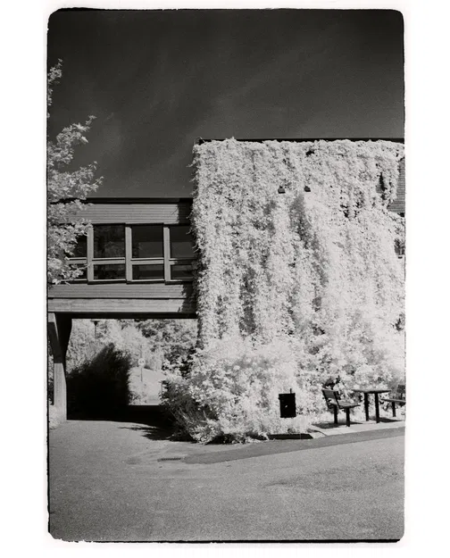 Khóa khẩu độ Ricoh 500ME - Image 2