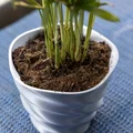 Chậu Hoa In 3D Thanh Lịch, Chống Thấm Nước và Bền Chắc - Thumbnail 2