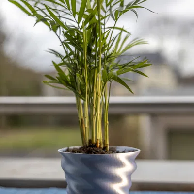 Chậu Hoa In 3D Thanh Lịch, Chống Thấm Nước và Bền Chắc