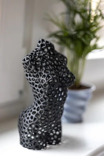 Tượng Nghệ Thuật Thân Hình Phụ Nữ Phong Cách Voronoi - Image 3