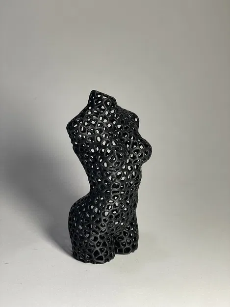 Tượng Nghệ Thuật Thân Hình Phụ Nữ Phong Cách Voronoi - Image 6
