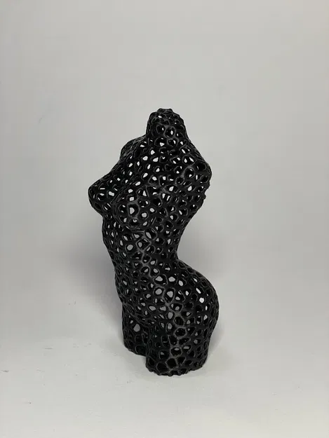 Tượng Nghệ Thuật Thân Hình Phụ Nữ Phong Cách Voronoi - Image 8