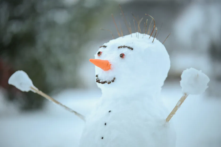 Mũi cà rốt cho người tuyết - Image 3