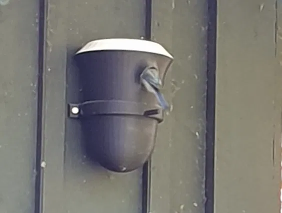 Căn hộ cho gia đình nhỏ. Tổ chim - Image 2