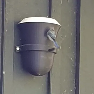 Căn hộ cho gia đình nhỏ. Tổ chim