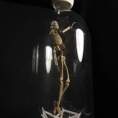 Mô hình Bộ xương Người có thể tạo dáng - Tỷ lệ 1/10