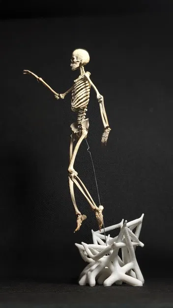 Mô hình Bộ xương Người có thể tạo dáng - Tỷ lệ 1/10 - Image 4