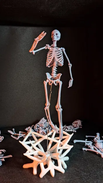 Mô hình Bộ xương Người có thể tạo dáng - Tỷ lệ 1/10 - Image 8