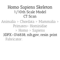 Mô hình Bộ xương Người có thể tạo dáng - Tỷ lệ 1/10 - Thumbnail 9