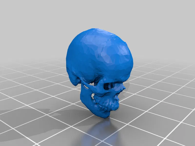 Mô hình Bộ xương Người có thể tạo dáng - Tỷ lệ 1/10 - Image 13