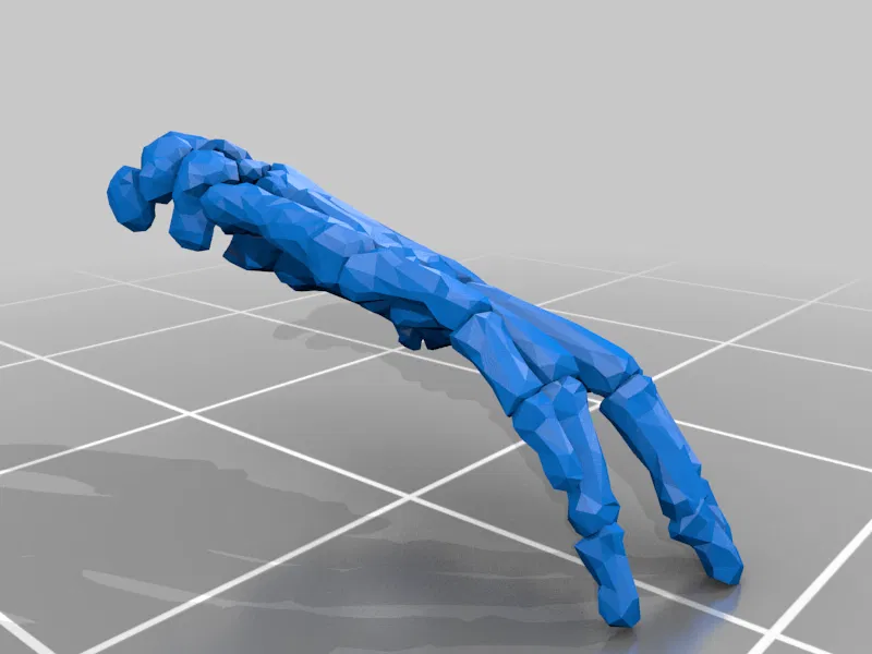 Mô hình Bộ xương Người có thể tạo dáng - Tỷ lệ 1/10 - Image 16