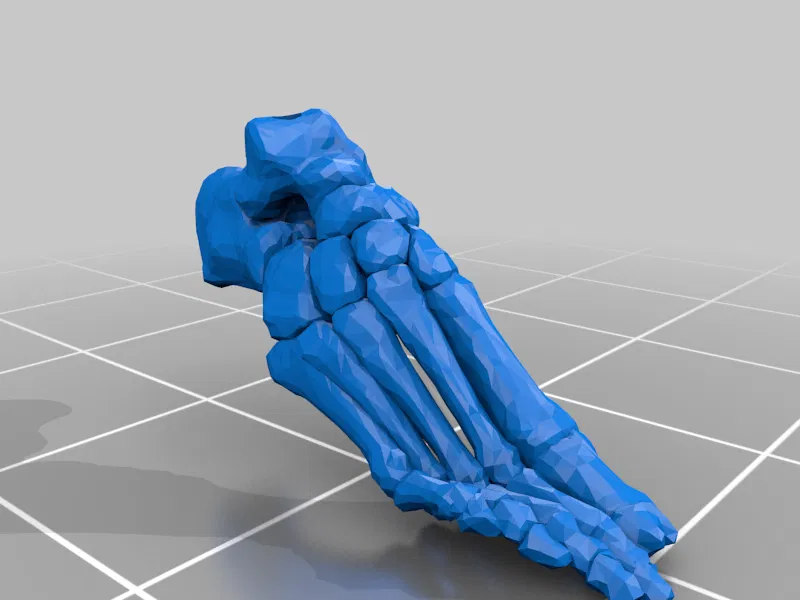 Mô hình Bộ xương Người có thể tạo dáng - Tỷ lệ 1/10 - Image 17