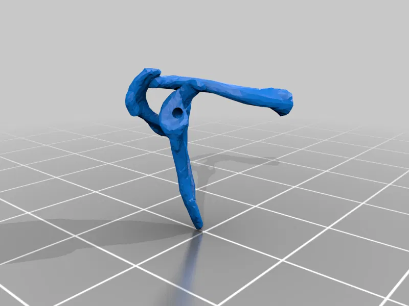 Mô hình Bộ xương Người có thể tạo dáng - Tỷ lệ 1/10 - Image 20