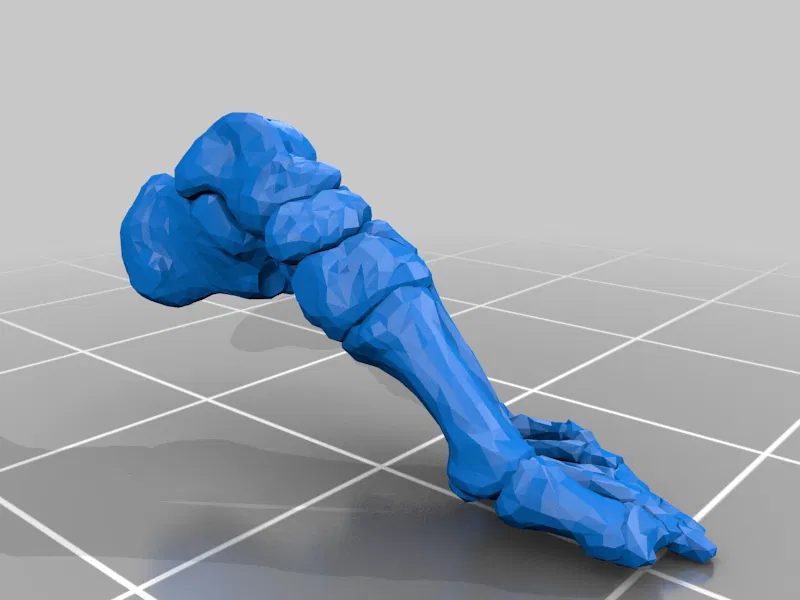 Mô hình Bộ xương Người có thể tạo dáng - Tỷ lệ 1/10 - Image 22