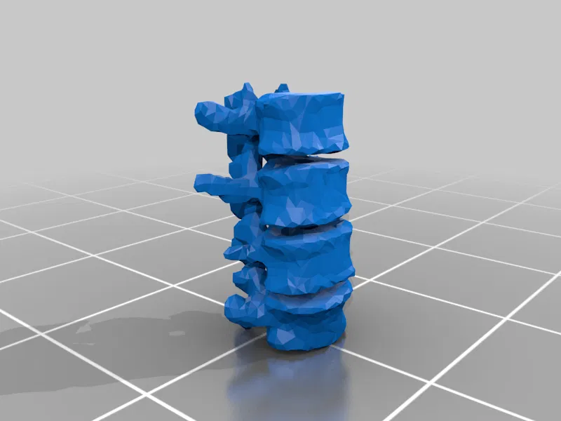 Mô hình Bộ xương Người có thể tạo dáng - Tỷ lệ 1/10 - Image 23