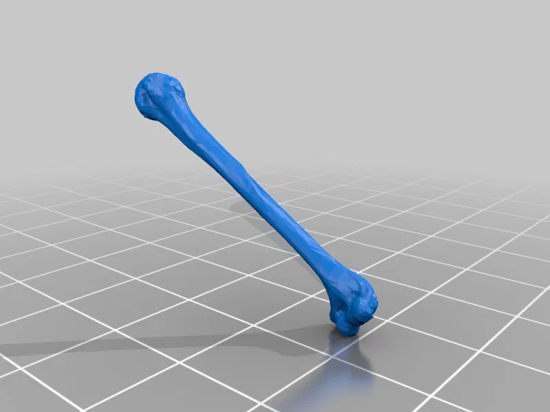 Mô hình Bộ xương Người có thể tạo dáng - Tỷ lệ 1/10 - Image 24