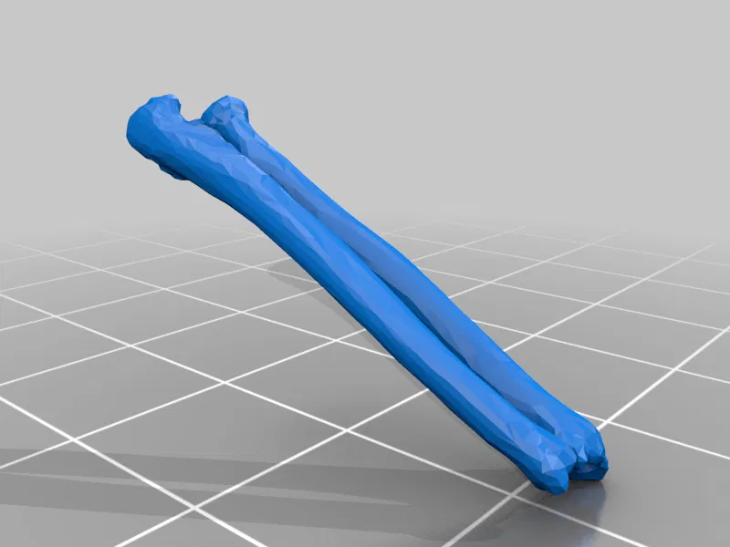 Mô hình Bộ xương Người có thể tạo dáng - Tỷ lệ 1/10 - Image 28